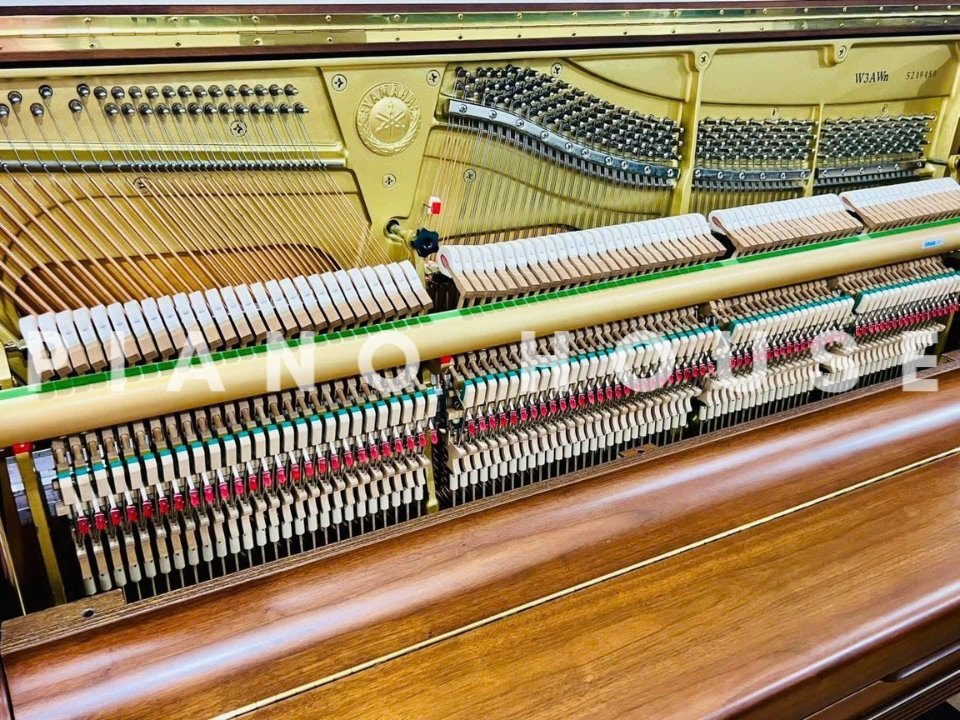 YAMAHA W3AWn - Ảnh thực tế 8